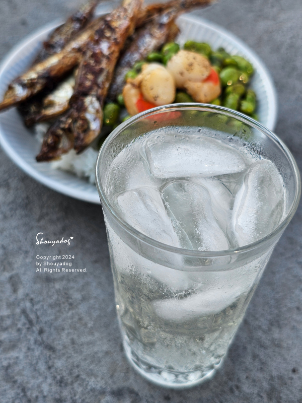 【健康機能飲】永禎 香檬氣泡飲 低卡好喝氣泡飲分享 炎夏解渴
