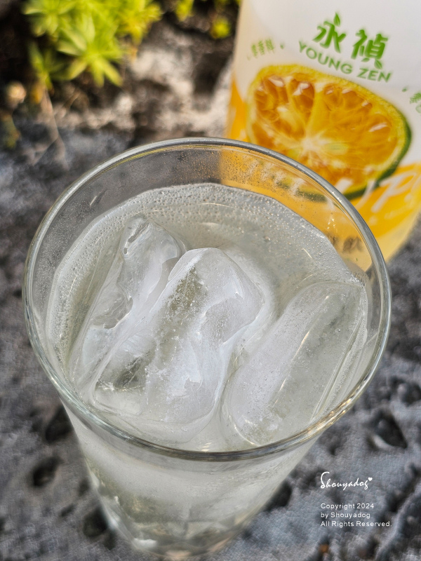 【健康機能飲】永禎 香檬氣泡飲 低卡好喝氣泡飲分享 炎夏解渴