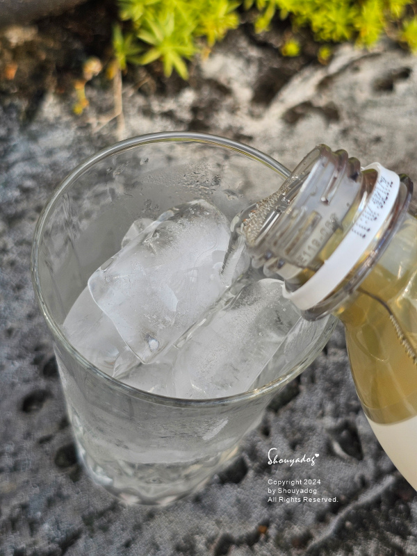 【健康機能飲】永禎 香檬氣泡飲 低卡好喝氣泡飲分享 炎夏解渴