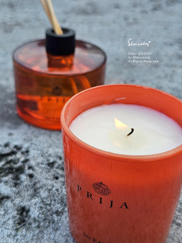 【PRIJA 沛嘉】活力人蔘髮膚沐浴洗髮露 木質檀香室內擴香