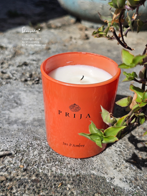 【PRIJA 沛嘉】活力人蔘髮膚沐浴洗髮露 木質檀香室內擴香