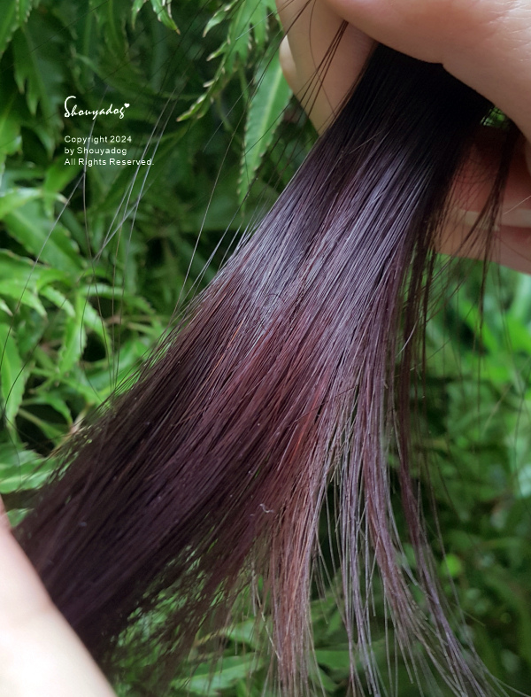 【PRIJA 沛嘉】活力人蔘髮膚沐浴洗髮露 木質檀香室內擴香