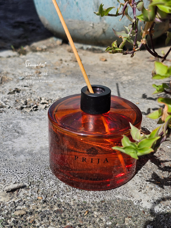 【PRIJA 沛嘉】活力人蔘髮膚沐浴洗髮露 木質檀香室內擴香