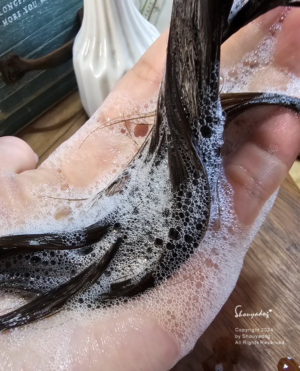 【PRIJA 沛嘉】活力人蔘髮膚沐浴洗髮露 木質檀香室內擴香