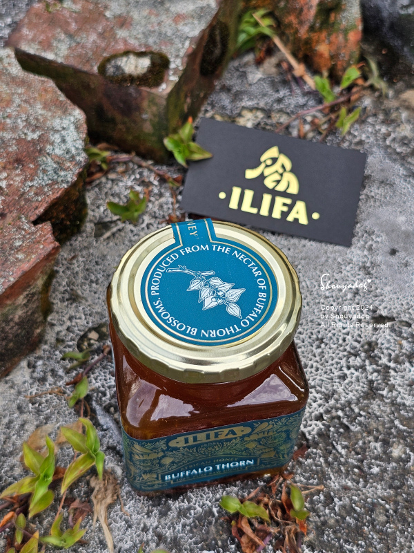 【有機生蜂蜜開箱】ILIFASHOP ILIFA非洲野生生蜂