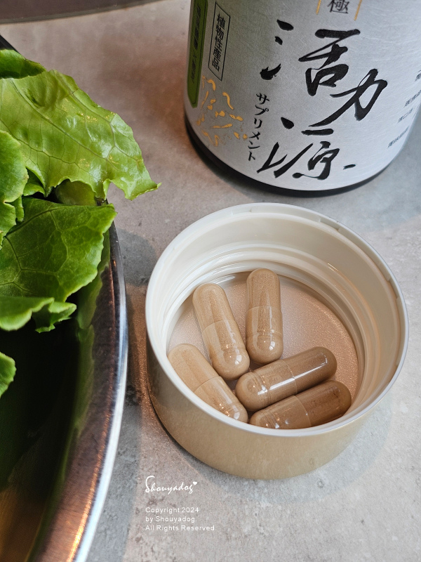 【保健食品】AFC 新究極活力源 日本原裝進口 17倍奈米級