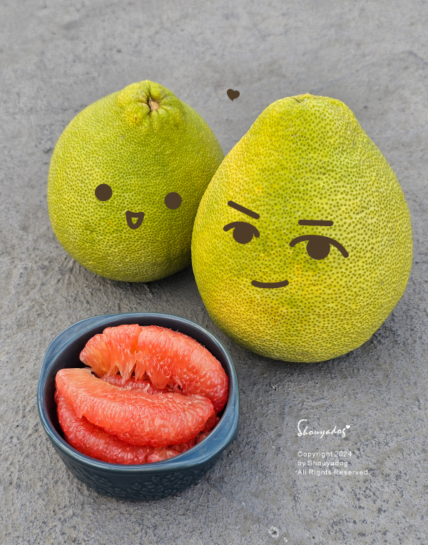 【廚房用品】橫刀 HengDao · 萬用料理刀 武生鋼材株