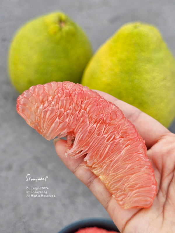 【新鮮水果】福之柚 麻豆紅文旦 正宗老欉 中秋節的幸福滋味