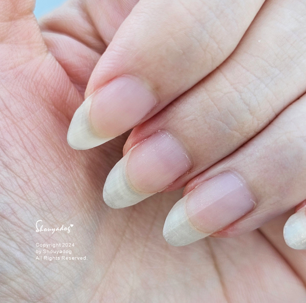 【彩妝保養】BAOGAAO 來自德國的專業護理品牌 甲床指甲