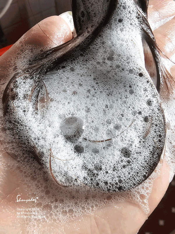 【盥洗用品】韓國香氛專家 COCODOR 珂珂朵爾品香師 D