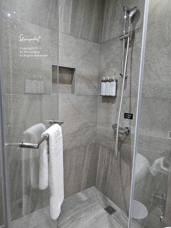 【桃園住宿】青埔商旅一泊二食 母女輕旅行首選 Angle 