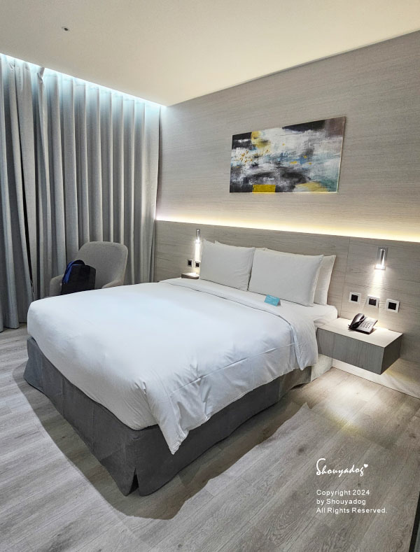 【桃園住宿】青埔商旅一泊二食 母女輕旅行首選 Angle 