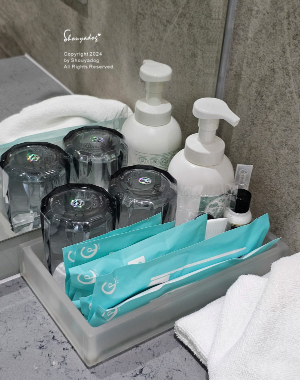 【桃園住宿】青埔商旅一泊二食 母女輕旅行首選 Angle 