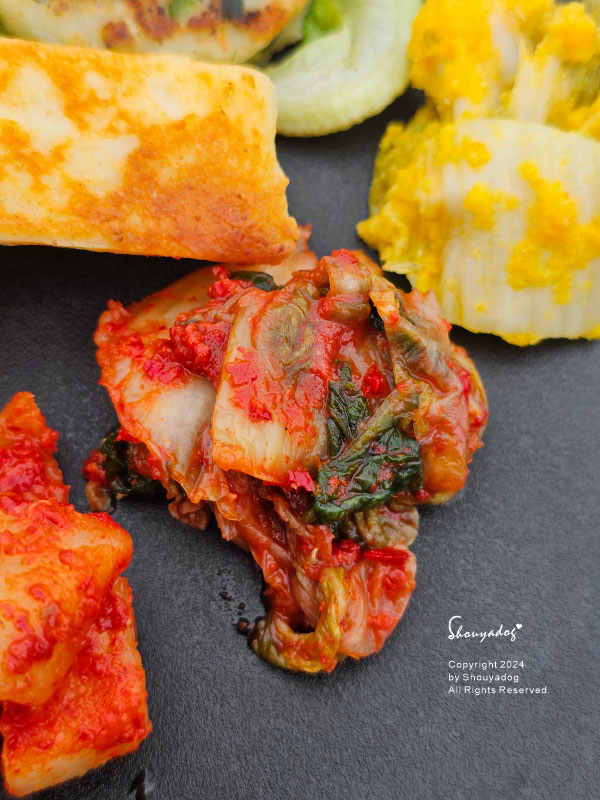 【醃漬小菜】hanyoung 正安Kimchi的四種吃法 鍋