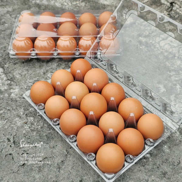 【蛋品】璞食蛋 土雞蛋 吃的營養健康就從好蛋蛋開始 順源牧場