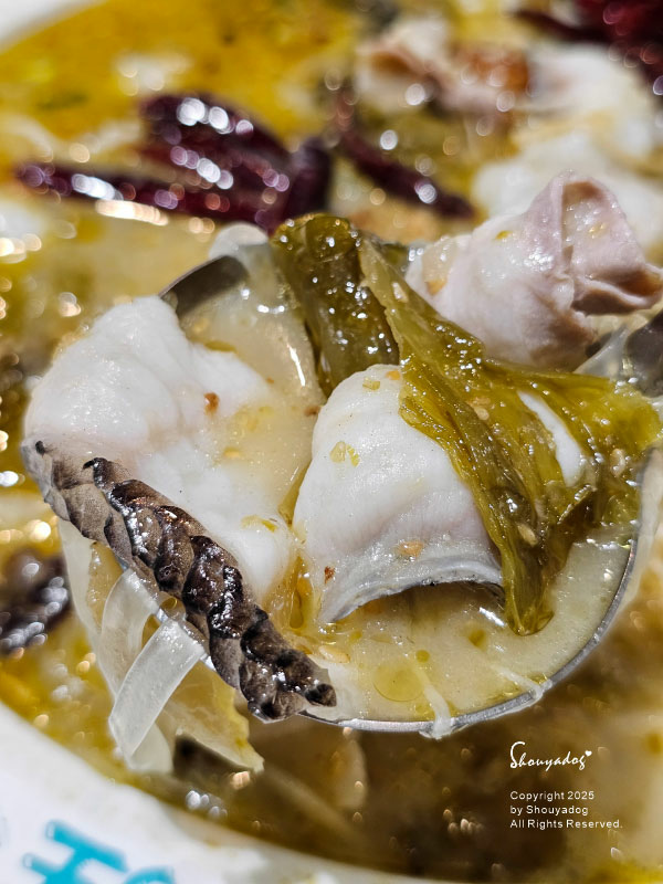 【西門町美食川菜餐廳】爆紅的年輕時尚酸菜魚 品狂一鍋美學一生