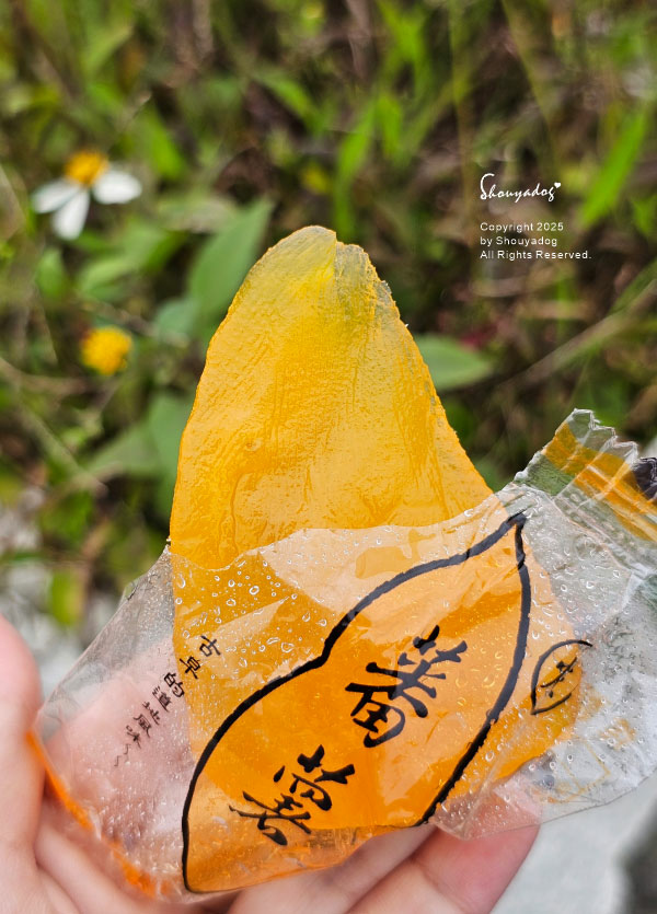 【蜜餞專賣】梅工坊 大豬公 化應子 焢蕃薯 琥珀蜜地瓜 辣芒
