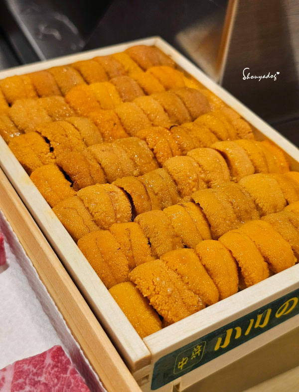 【日本料理】天婦羅 杉村 頂級板前無菜單料理 高級天婦羅初體