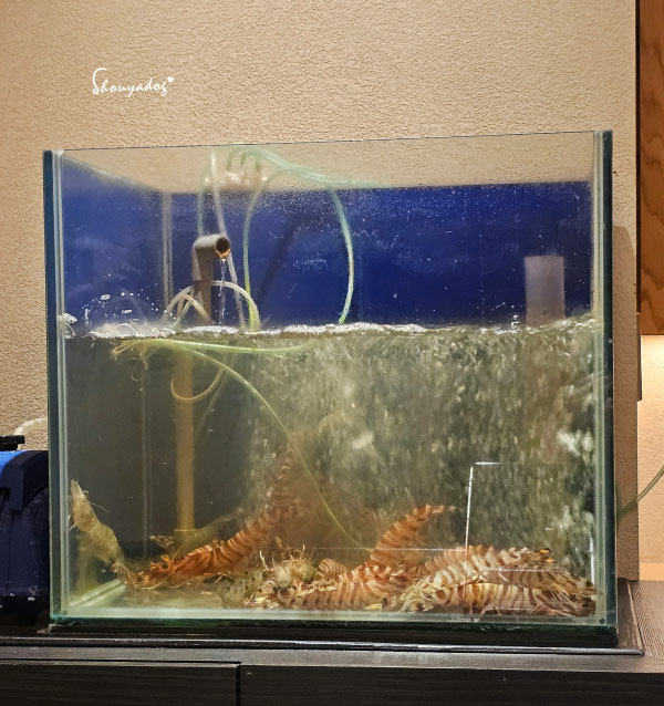 【日本料理】天婦羅 杉村 頂級板前無菜單料理 高級天婦羅初體