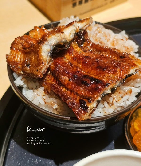 【日本料理】四代目菊川 鰻魚飯專賣店 微風信義店 日本米其林