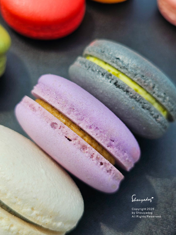 【甜點】姚君子甜點製造所 母親節紀念日禮物首選 繽紛手工馬卡 【甜點】姚君子甜點製造所 母親節紀念日禮物首選 繽紛手工馬卡