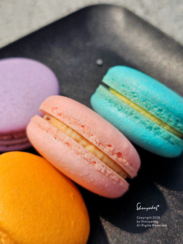 【甜點】姚君子甜點製造所 母親節紀念日禮物首選 繽紛手工馬卡 【甜點】姚君子甜點製造所 母親節紀念日禮物首選 繽紛手工馬卡