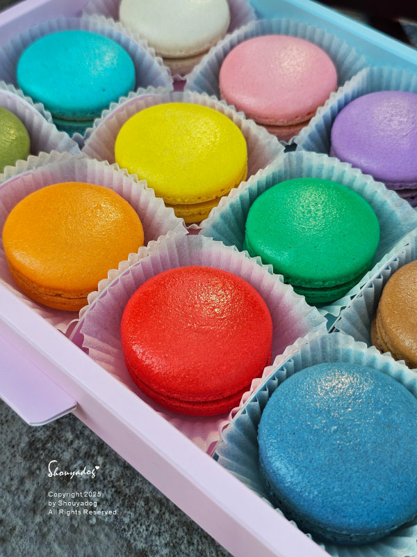 【甜點】姚君子甜點製造所 母親節紀念日禮物首選 繽紛手工馬卡 【甜點】姚君子甜點製造所 母親節紀念日禮物首選 繽紛手工馬卡