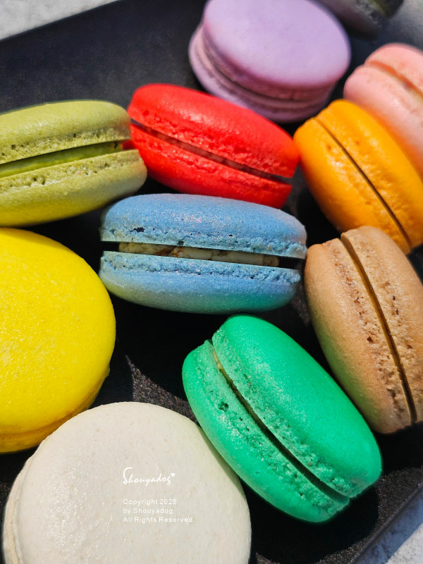 【甜點】姚君子甜點製造所 母親節紀念日禮物首選 繽紛手工馬卡 【甜點】姚君子甜點製造所 母親節紀念日禮物首選 繽紛手工馬卡