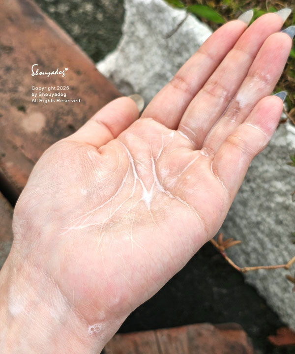 【敏弱肌/乾燥肌保養品推薦】ILLIYOON一理潤 神經醯胺