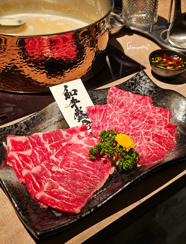 山上走走 日式海鮮鍋物 台北華山店 日本A5和牛 IG熱門打