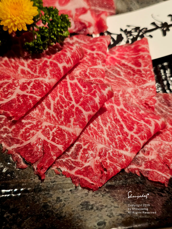 山上走走 日式海鮮鍋物 台北華山店 日本A5和牛 IG熱門打