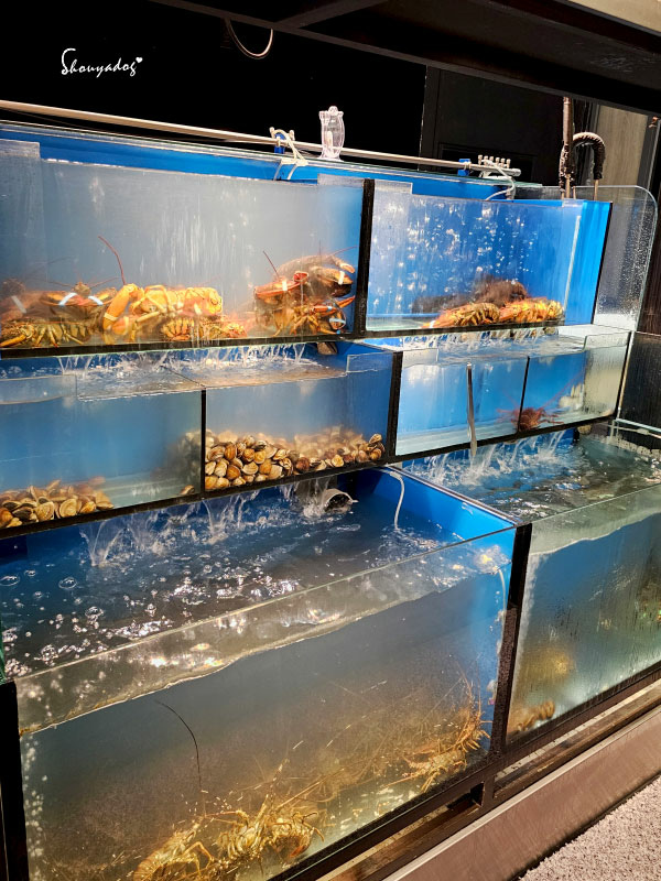 山上走走 日式海鮮鍋物 台北華山店 日本A5和牛 IG熱門打