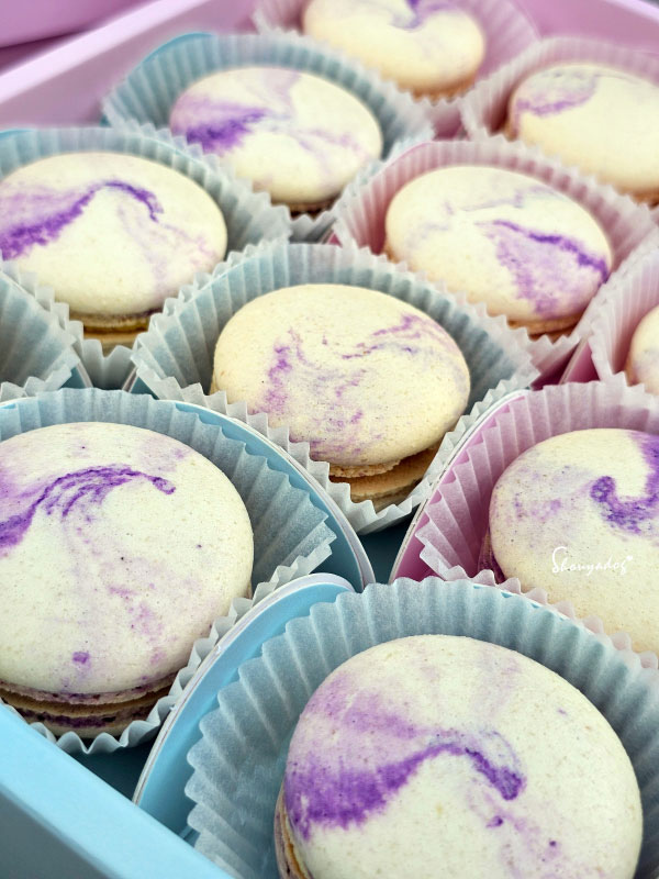 【甜點】姚君子甜點製造所 季節限定 榴槤手工馬卡龍