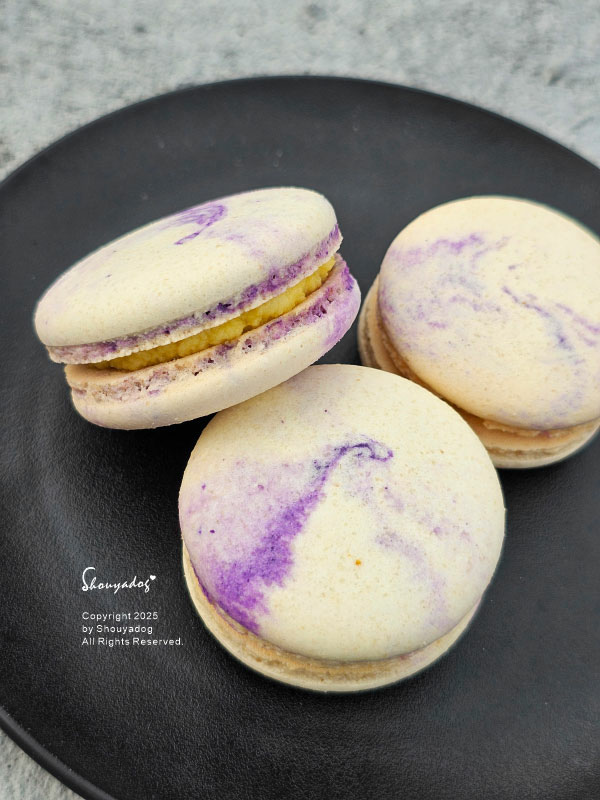 【甜點】姚君子甜點製造所 季節限定 榴槤手工馬卡龍