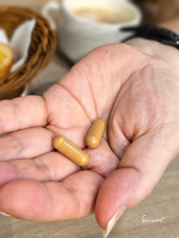 【保健食品】原輔堂 純の牛樟芝子實體精粹 白鶴生醫也可以買得