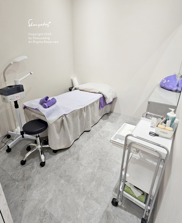 【台北蜂巢皮秒心得】愛爾麗診所 全臉探索皮秒雷射(蜂巢) 