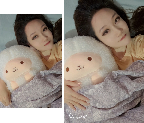 【睡眠寢具】合隆羽藏 Health Life 台灣百年羽絨品 【睡眠寢具】合隆羽藏 Health Life 台灣百年羽絨品