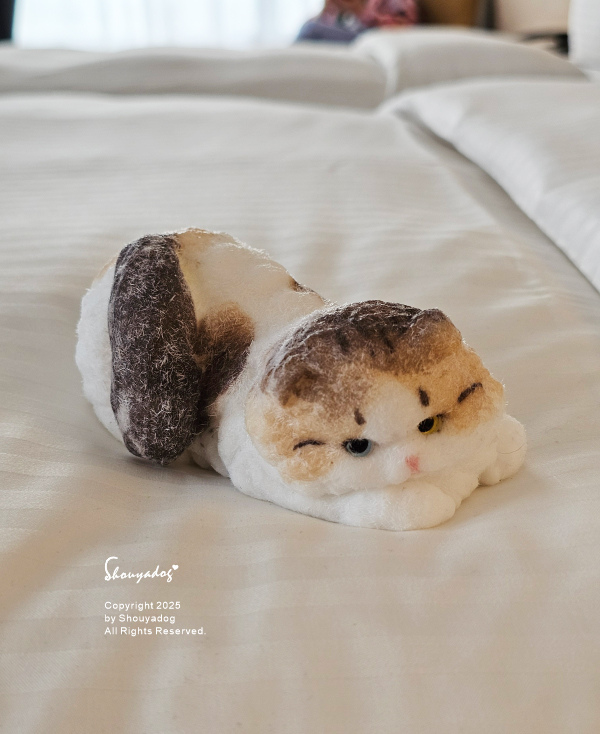 Two Tails Hotel 蘆洲 新北住宿推薦 捷運徐匯