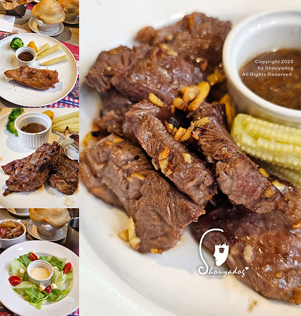 愛爾麗診所頭皮拉髮密雷射 台北拉髮密雷射心得 養髮醫美體驗分