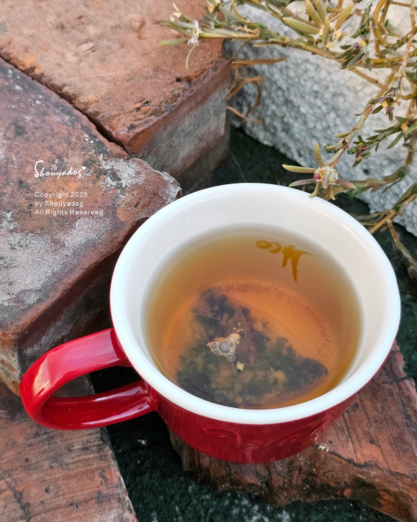 行健有機夢想村 無麩質純米蛋捲 無咖啡因玄米茶 好晶采 好舒