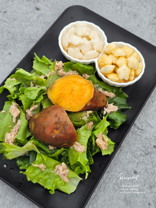 大家源 雙電壓便攜料理鍋 TCY-372202 旅行露營的好