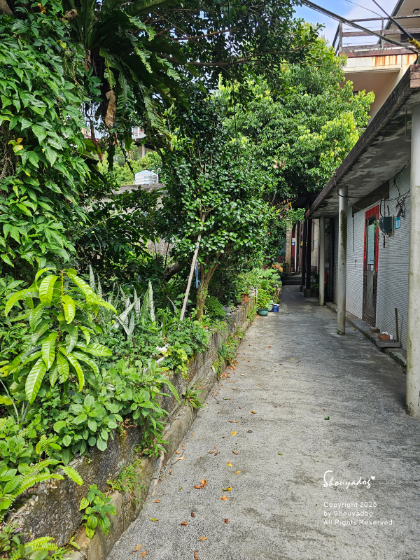 九份神隱之森 森林系秘境民宿 景觀下午茶 九份三天兩夜輕旅行