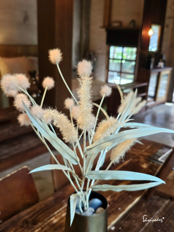 九份神隱之森 森林系秘境民宿 景觀下午茶 九份三天兩夜輕旅行