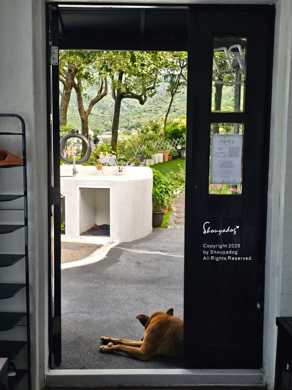 九份神隱之森 森林系秘境民宿 景觀下午茶 九份三天兩夜輕旅行