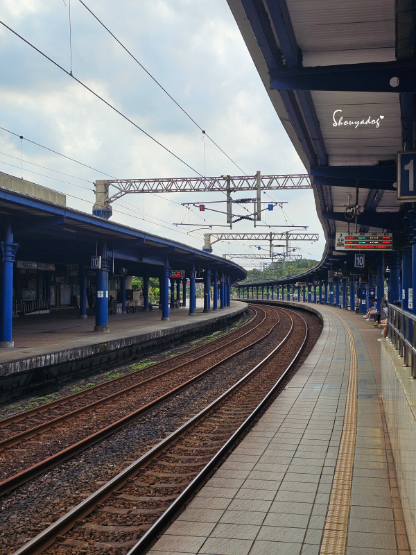 九份神隱之森 森林系秘境民宿 景觀下午茶 九份三天兩夜輕旅行