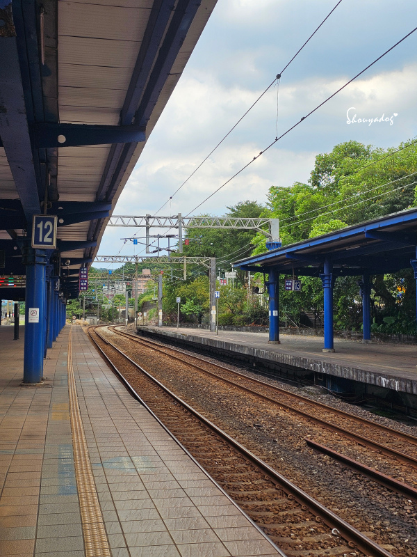 九份神隱之森 森林系秘境民宿 景觀下午茶 九份三天兩夜輕旅行