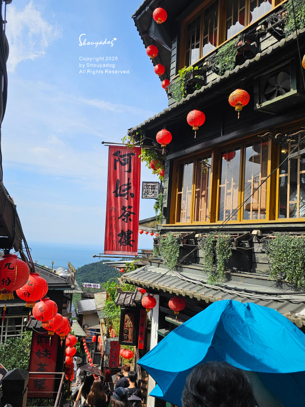 九份神隱之森 森林系秘境民宿 景觀下午茶 九份三天兩夜輕旅行