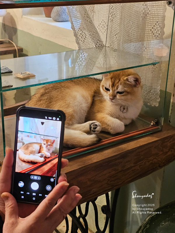 九份暮石民宿 走進九份老街只要30秒 平日早鳥活動免費附贈版