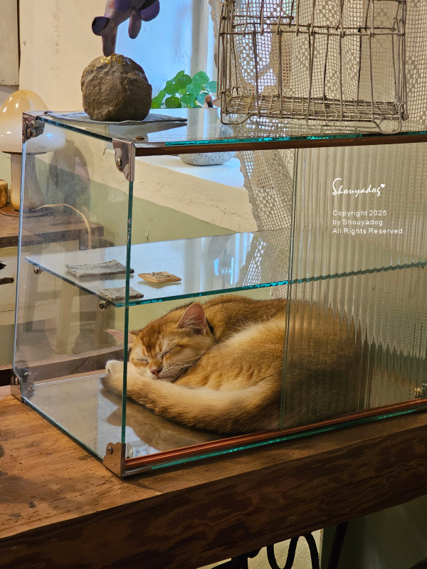 九份暮石民宿 走進九份老街只要30秒 平日早鳥活動免費附贈版