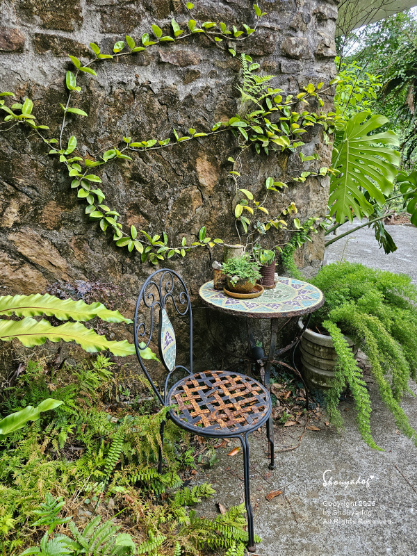 九份暮石民宿 走進九份老街只要30秒 平日早鳥活動免費附贈版